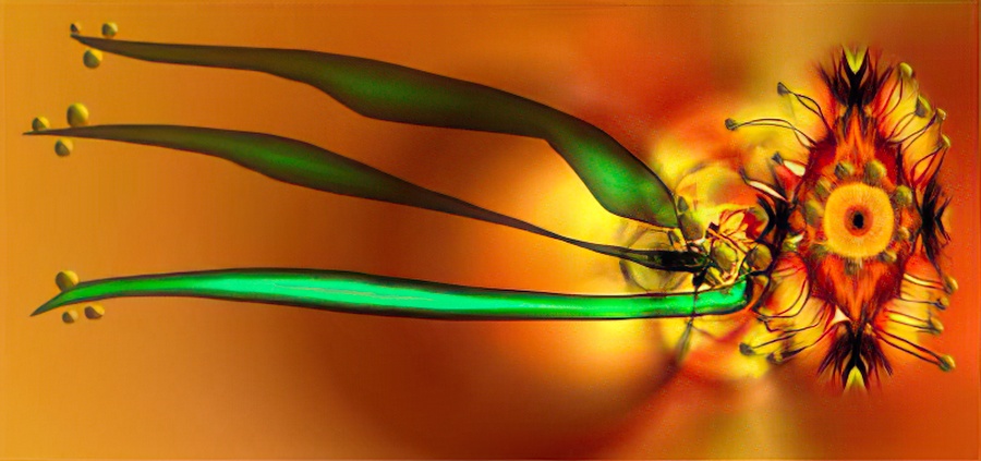 A screen capture from snarg.