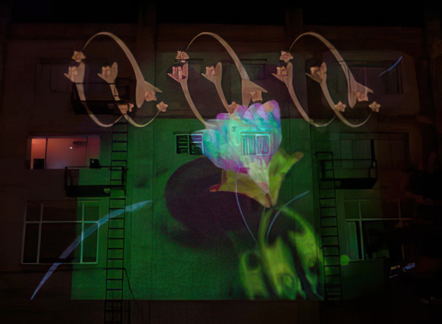 Projected snarg on my apartment building wall.