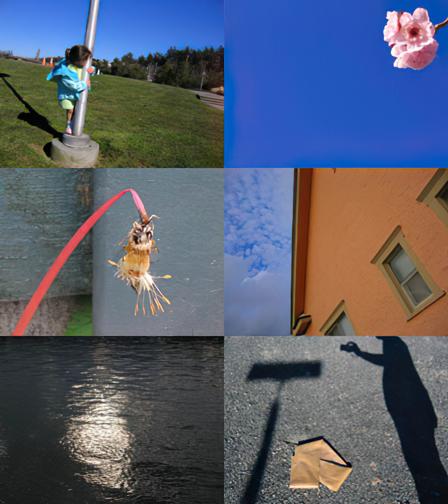 A montage of six photos.