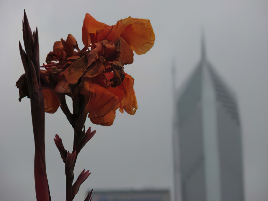 Flowers with a skyscraper.