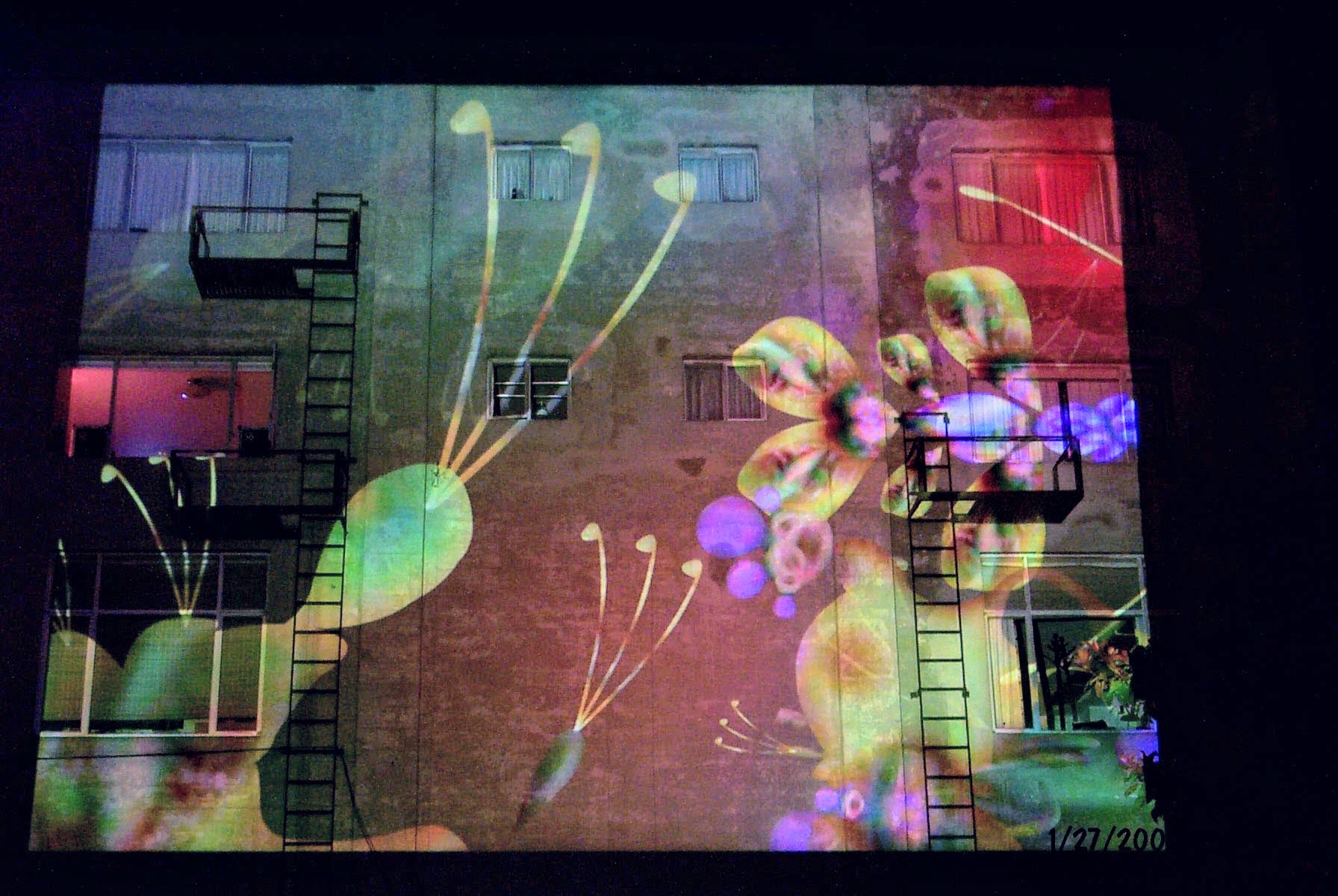 snarg projection on a wall