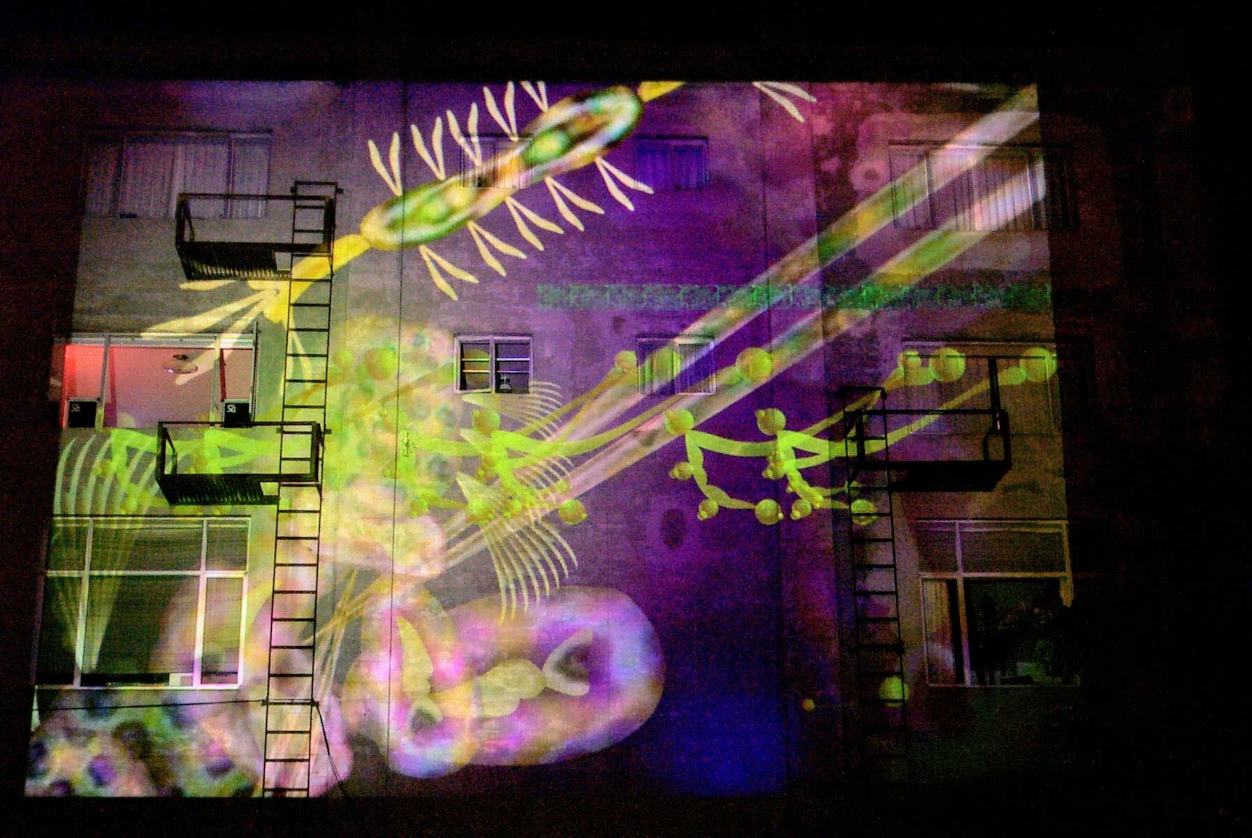 snarg projection on a wall