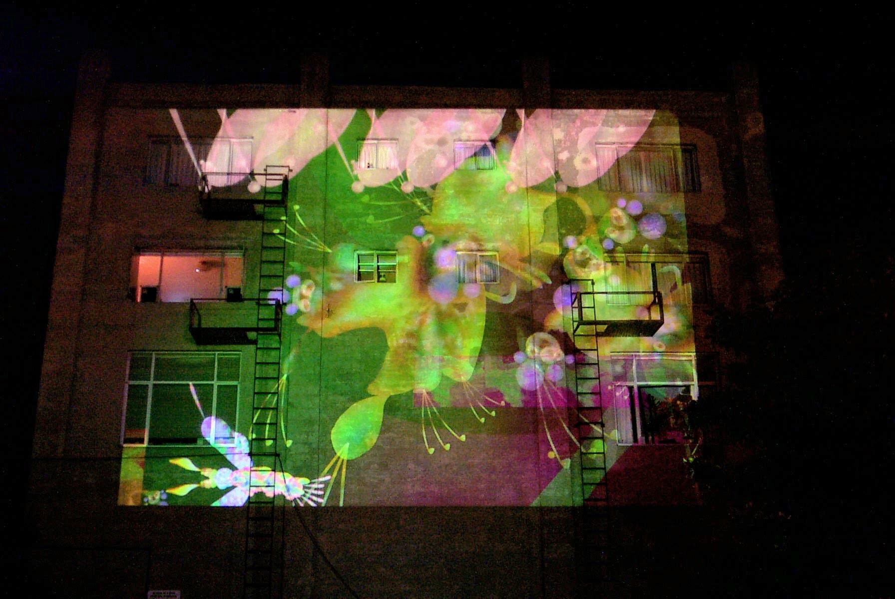 snarg projection on a wall