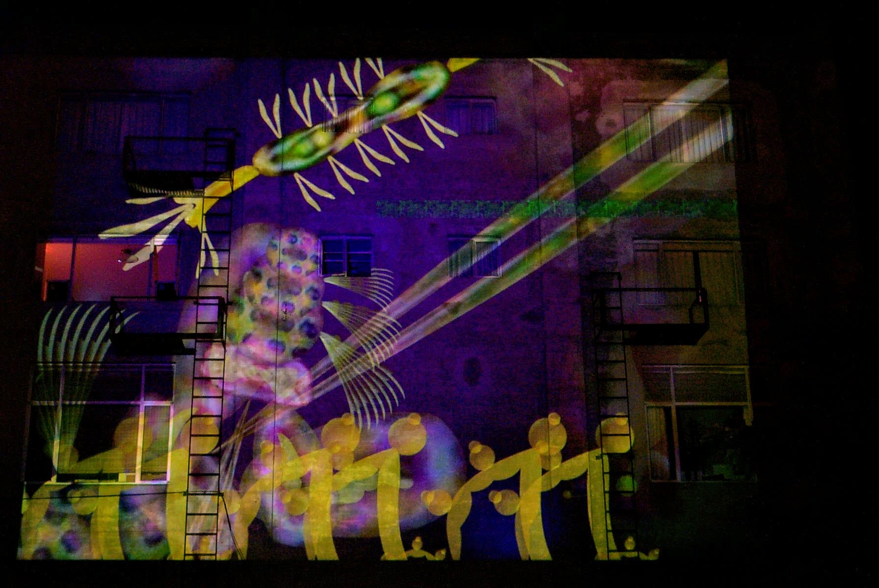 snarg projection on a wall