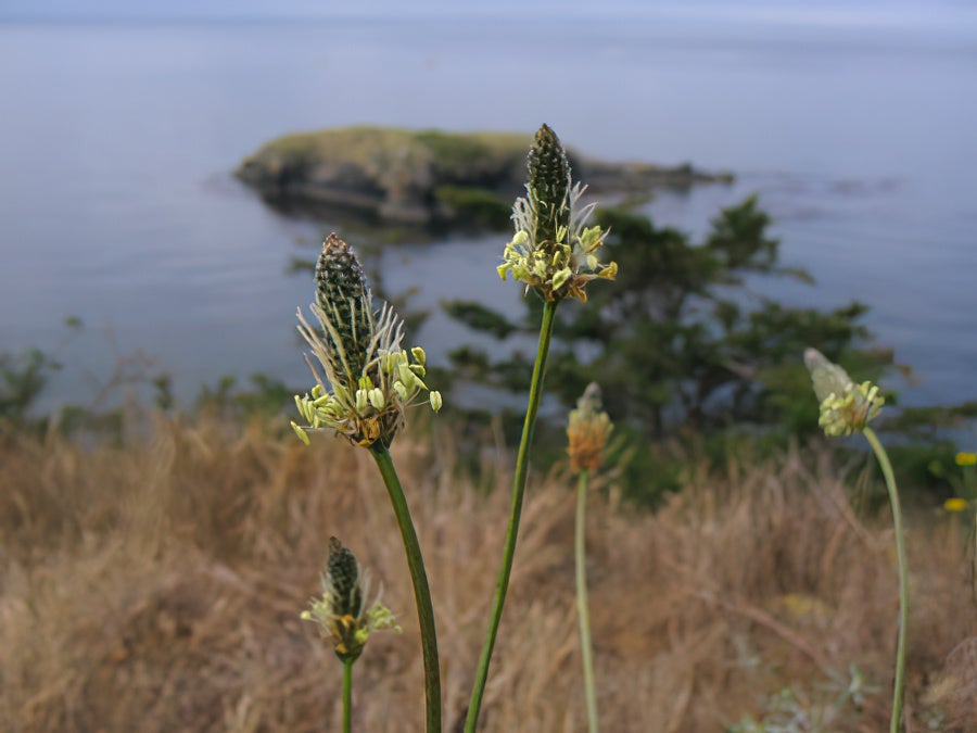 Photo from The Cliff house.